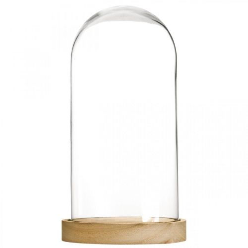 Floristik24 Glass bell with plate, glass dome, glass hood decoration H21cm