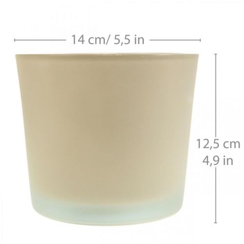 Product Glass flowerpot beige planter Glass planter Ø14.5cm H12.5cm