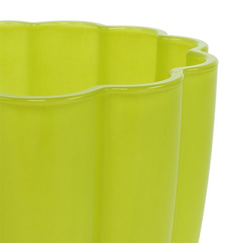Floristik24 Glass vase "Bloom" lime Ø14cm H17cm