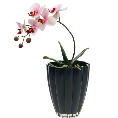 Product Glass Vase &quot;Bloom&quot; Dark Blue Ø14cm H17cm