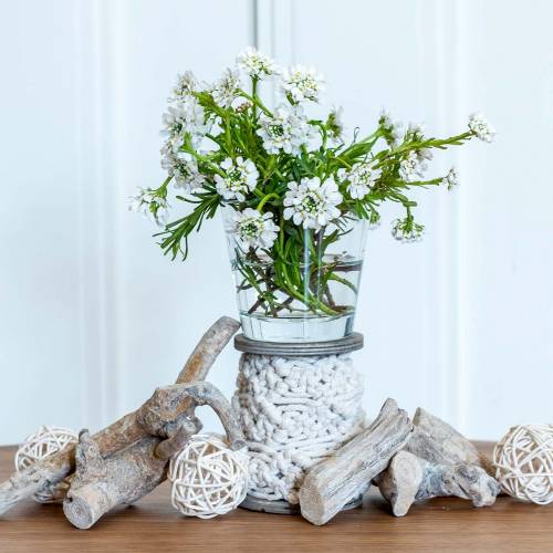 Floristik24 Glass vase clear Ø8.5cm H8cm 6pcs