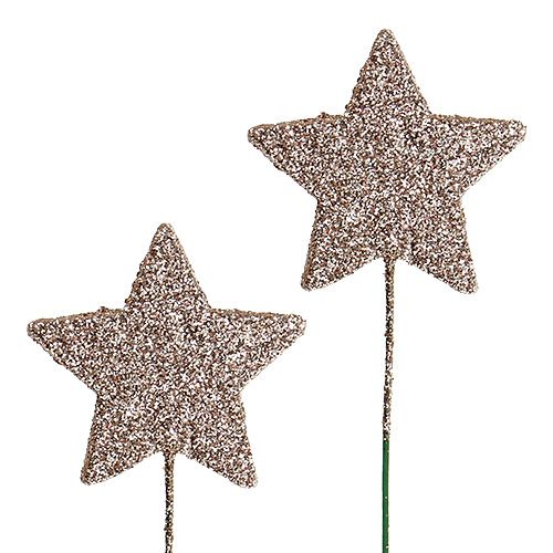 Floristik24 Glitter star on the wire champagne 5cm 48pcs