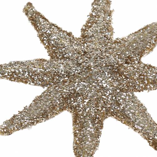 Floristik24 Decorative star glitter champagne 5cm 20 pcs