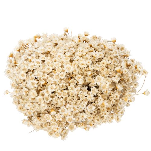 Product Dried flower bouquet, delicate blossoms for natural home decoration, 44cm