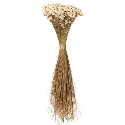 Product Dried flower bouquet, delicate blossoms for natural home decoration, 44cm
