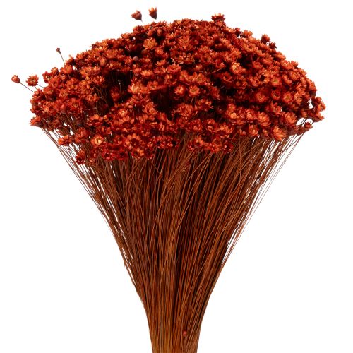 Product Dried flower bouquet, a charming addition to vases or arrangements, 44cm
