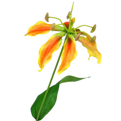 Product Gloriosa branch orange-yellow 90cm 1pc