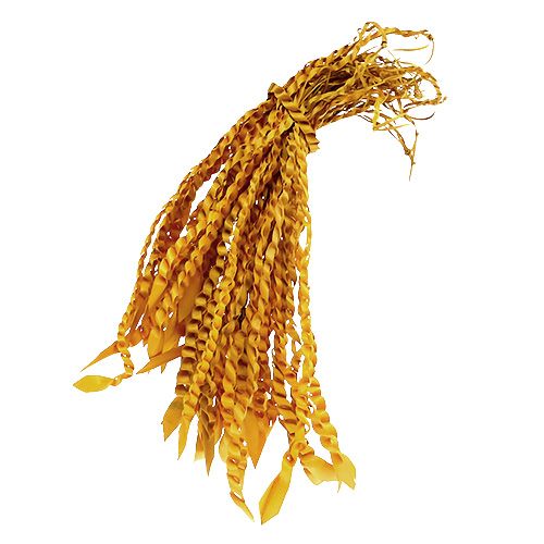 Product Palm Snake Braided Palm Leaves Golden 50-55cm 50pcs
