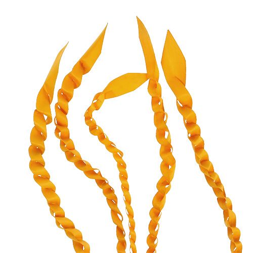 Product Gold Tendril Golden Yellow 50pcs