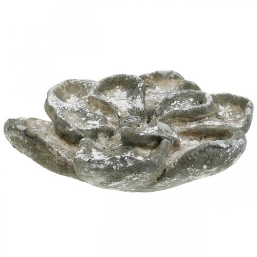 Floristik24 Grave decoration, concrete decoration, garden decoration, concrete rose Ø15.5cm
