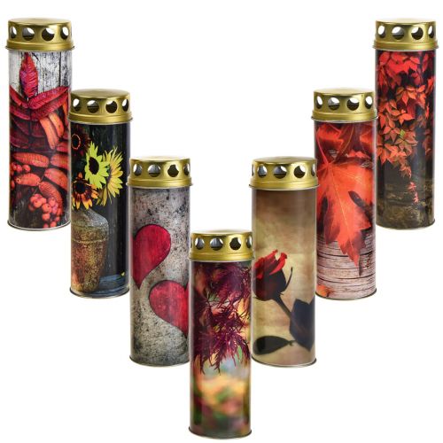 Grave candles mourning candles autumn motifs color Ø6cm H20cm 6 pieces