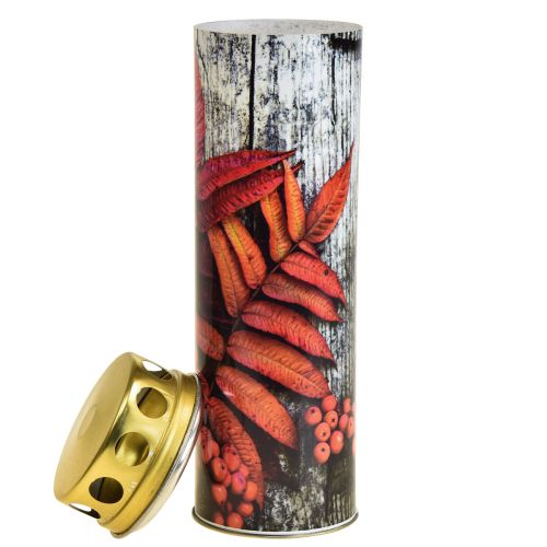 Floristik24 Grave candles mourning candles autumn motifs color Ø6cm H20cm 6 pieces