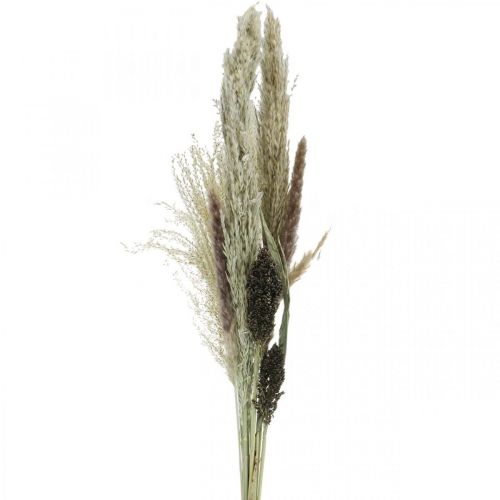 Dried grasses in a bunch Dry floristics Dry bouquet H70cm