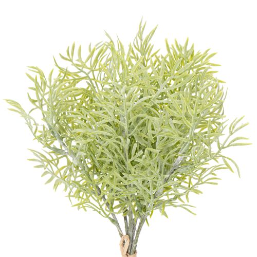 Floristik24 Ornamental asparagus branch, natural addition to flower bouquets, 34cm, 7 pieces