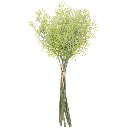 Product Ornamental asparagus branch, natural addition to flower bouquets, 34cm, 7 pieces