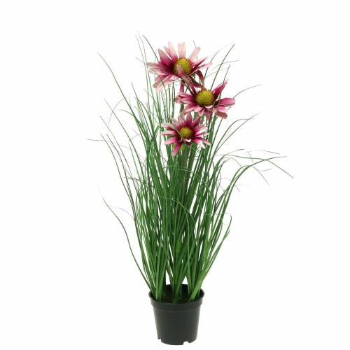 Floristik24 Artificial Grass with Echinacea in a pot Pink 44cm