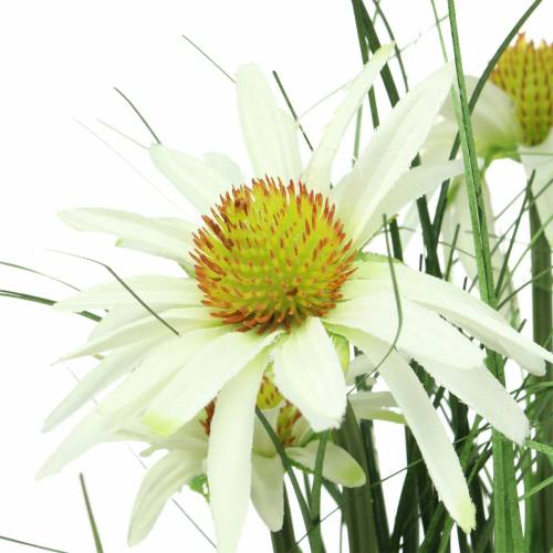 Floristik24 Grass with Echinacea artificially in the pot white 52cm