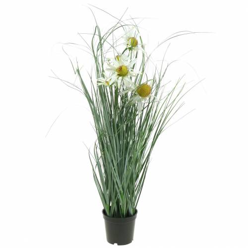 Floristik24 Grass with Echinacea artificial in a white pot 56cm
