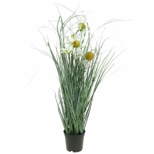 Product Grass with Echinacea artificial in a white pot 56cm