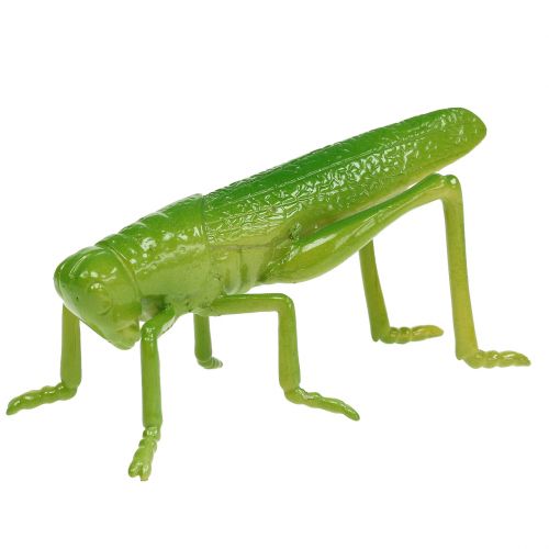 Floristik24 Grasshopper Green 11cm 1pc