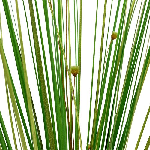 Floristik24 Grass branch with flowers 58cm green 6pcs