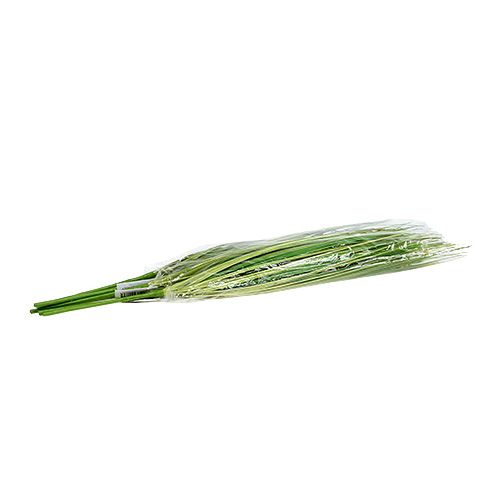 Floristik24 Grass branch with flowers 58cm green 6pcs