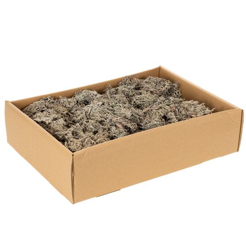 Natural Grey Moss for Crafting and Home Decoration 500g | Floristik24.co.uk