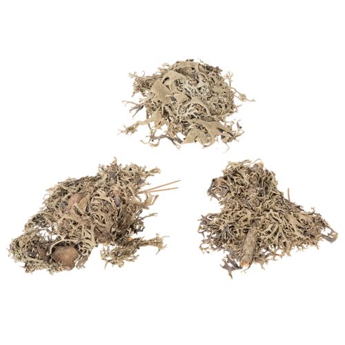 Natural Grey Moss for Crafting and Home Decoration 500g | Floristik24.co.uk
