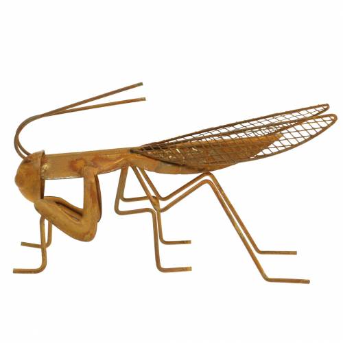 Floristik24 Garden decoration grille noble rust metal 14.5cm