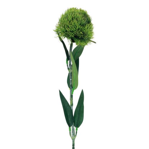 Floristik24 Green bearded carnation artificial flower like from the garden 54cm