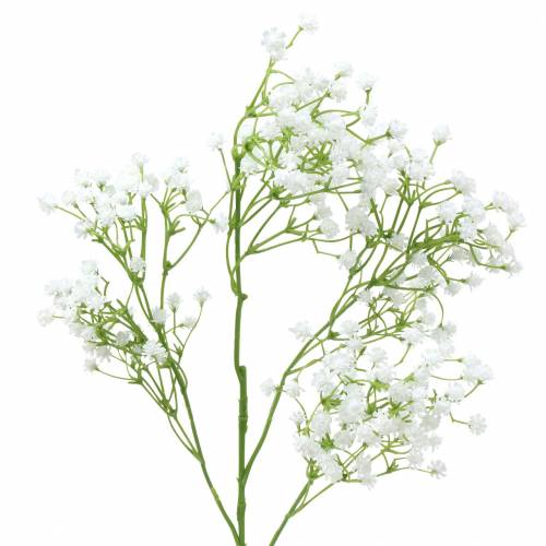 Floristik24 Baby's Breath Gypsophila White 66cm