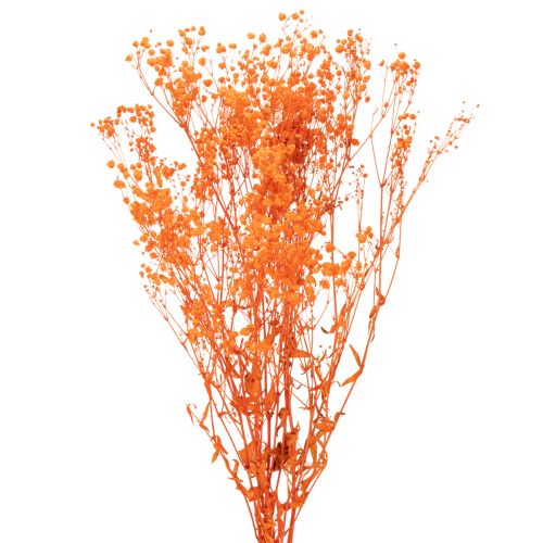 Orange Gypsophila Dried Flower Bouquet 75cm 100g for Indoor Decoration