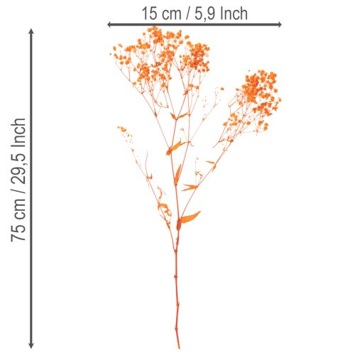Orange Gypsophila Dried Flower Bouquet 75cm 100g for Indoor Decoration | Floristik24.co.uk