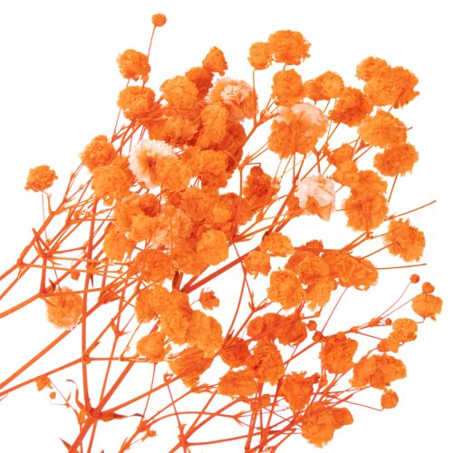 Orange Gypsophila Dried Flower Bouquet 75cm 100g for Indoor Decoration | Floristik24.co.uk