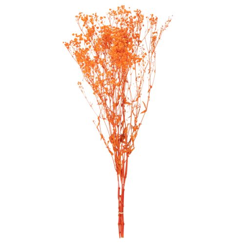 Orange Gypsophila Dried Flower Bouquet 75cm 100g for Indoor Decoration | Floristik24.co.uk