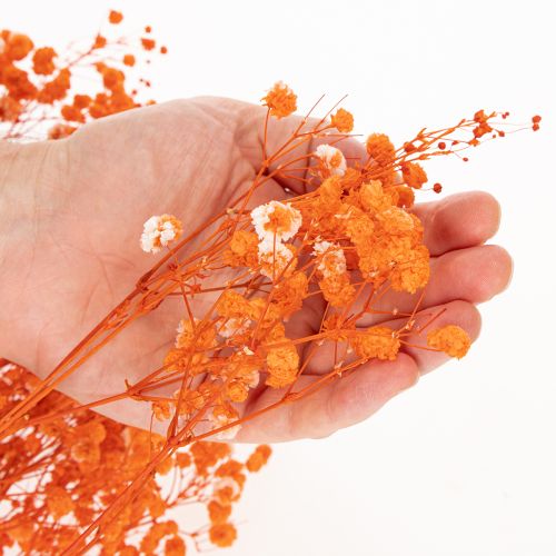 Orange Gypsophila Dried Flower Bouquet 75cm 100g for Indoor Decoration | Floristik24.co.uk