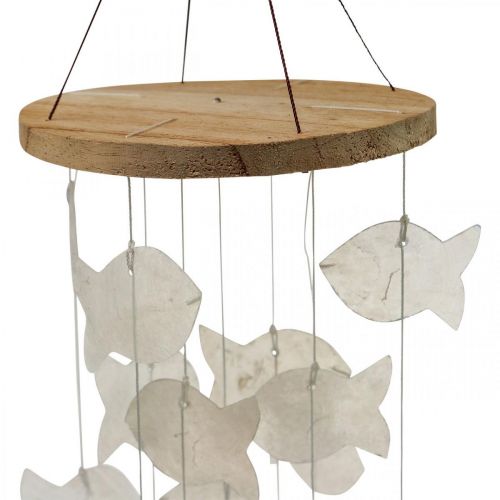 Product Hanging decoration shells Capiz wind chime garden Ø12cm L49cm