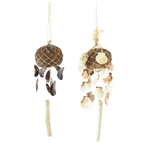 Floristik24 Hanging decoration shells coconut shell decoration maritime 53cm 2pcs