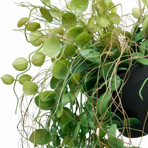 Product Hanging plant in a pot Artificial green plant Hanging basket