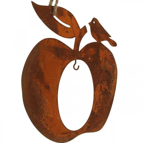 Floristik24 Deco hanger metal apple pear patina decoration 23/24cm 2pcs