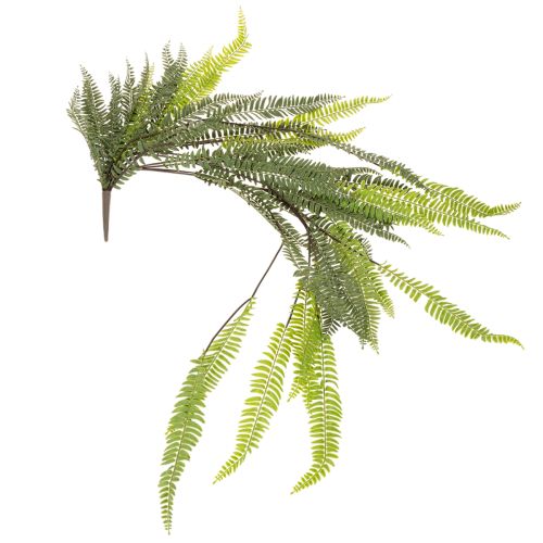 **Artificial Fern Stem 118cm for Decorative Indoor and Outdoor Use**

```html
<h2>Artificial Fern Stem 118cm for Stylish Home Décor</h2>

<p>This artificial fern stem, with an impressive length of 118cm, is a versatile decoration piece for enhancing your 