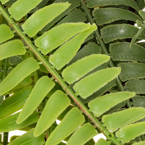 **Artificial Fern Stem 118cm for Decorative Indoor and Outdoor Use**

```html
<h2>Artificial Fern Stem 118cm for Stylish Home Décor</h2>

<p>This artificial fern stem, with an impressive length of 118cm, is a versatile decoration piece for enhancing your  | Floristik24.co.uk