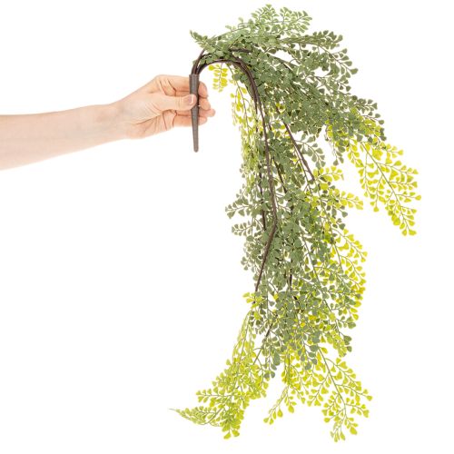 Artificial Fern Stem for Vases 80cm Green

```html
<h2>Artificial Fern Stem for Home Decoration</h2>

<p>
This artificial fern stem is a versatile decorative piece designed to complement any indoor setting. Measuring 80cm in length, it features a beautifu | Floristik24.co.uk