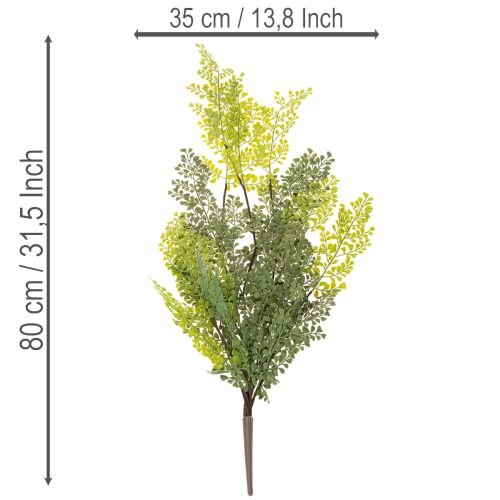 Artificial Fern Stem for Vases 80cm Green

```html
<h2>Artificial Fern Stem for Home Decoration</h2>

<p>
This artificial fern stem is a versatile decorative piece designed to complement any indoor setting. Measuring 80cm in length, it features a beautifu | Floristik24.co.uk