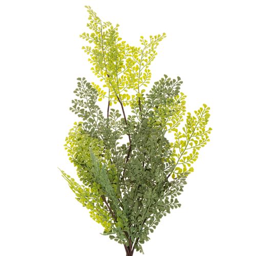 Artificial Fern Stem for Vases 80cm Green

```html
<h2>Artificial Fern Stem for Home Decoration</h2>

<p>
This artificial fern stem is a versatile decorative piece designed to complement any indoor setting. Measuring 80cm in length, it features a beautifu | Floristik24.co.uk