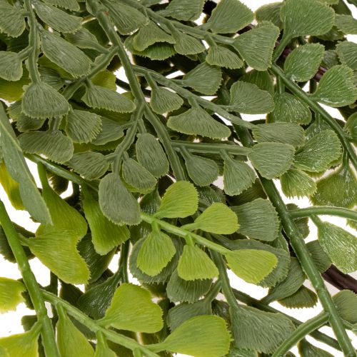 Artificial Fern Stem for Vases 80cm Green

```html
<h2>Artificial Fern Stem for Home Decoration</h2>

<p>
This artificial fern stem is a versatile decorative piece designed to complement any indoor setting. Measuring 80cm in length, it features a beautifu | Floristik24.co.uk