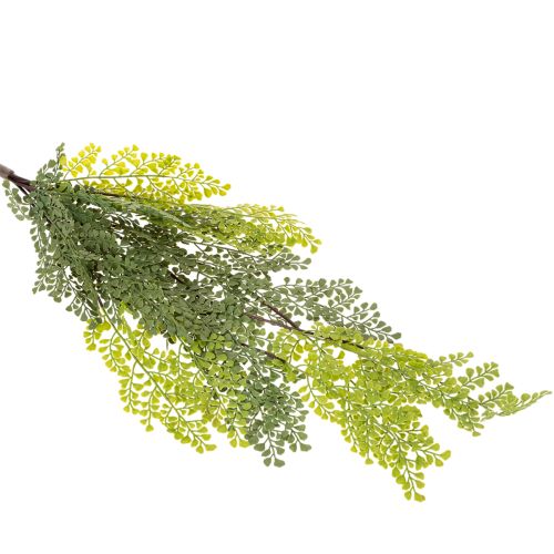 Artificial Fern Stem for Vases 80cm Green

```html
<h2>Artificial Fern Stem for Home Decoration</h2>

<p>
This artificial fern stem is a versatile decorative piece designed to complement any indoor setting. Measuring 80cm in length, it features a beautifu | Floristik24.co.uk
