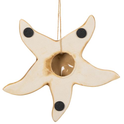 Product Ceramic starfish decoration for hanging, for a maritime flair, summer decoration for the home, 12cm, 2 pieces