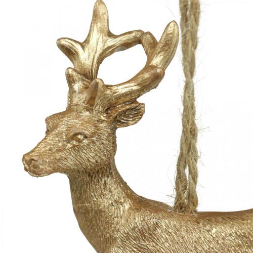 Floristik24 Christmas pendant reindeer deco deer gold 9.5cm 4pcs
