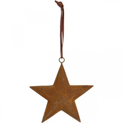 Floristik24 Christmas pendant star metal star rust look H13.5cm